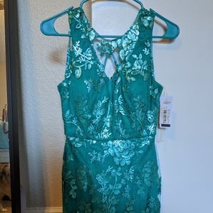 Homecoming party or cocktail dress